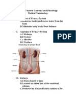 Urinary System Anatomy and Physiology