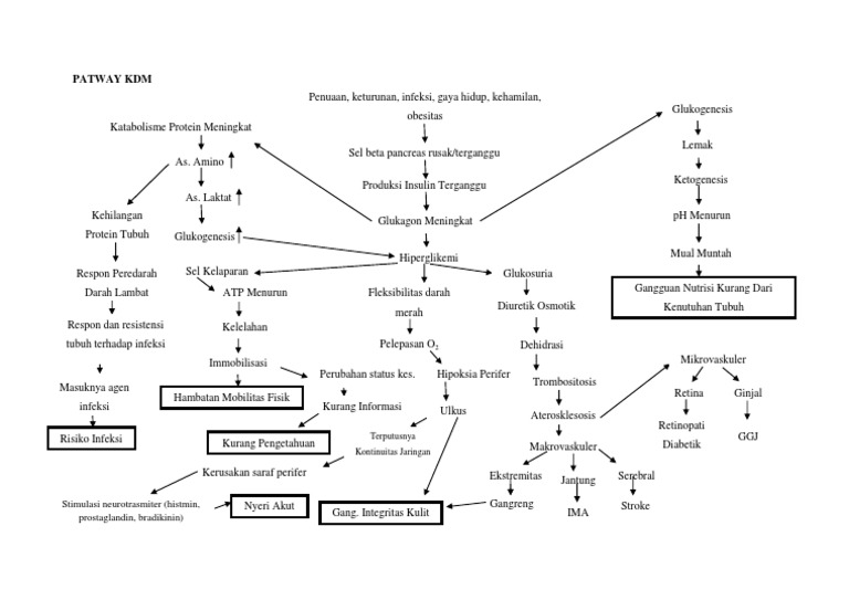 Pathway Diabetes Melitus dan Mobilitas | PDF | Memasak, Makanan, & Anggur