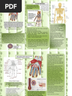 Download Anatomi Telapak Tangan Serta Jari by kurnia SN252024180 doc pdf