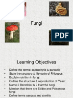 Fungi