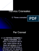 nervios-craneales-20454