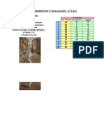 Examen Práctico Pilota Valenciana