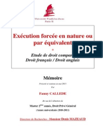 Mémoire Fanny Callede m2dpg