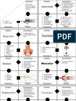 cardsort body systems gl