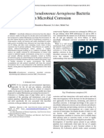 Pseudomona Aureginosa Corrosion 1