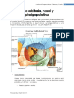 Fosa orbitarianasal y pterigopalatina