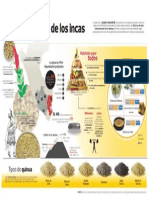 Infografía La quinua: el grano de oro de los incas - Diana Hidalgo
