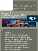 Peredaran Darah Pada Porifera