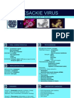 GONZALES, Coxsackie Virus