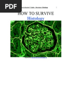 08 How To Survive - Structure - Histology (2008-2009)