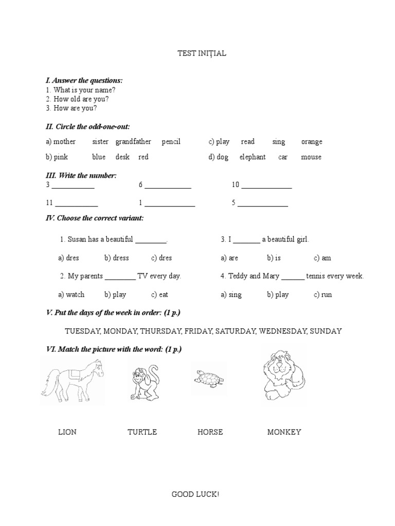 Initial Test for Young Learners | PDF