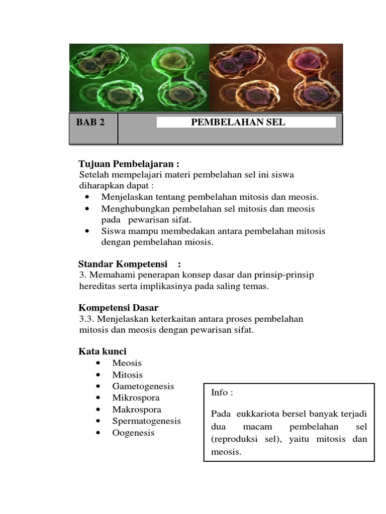 Modulmateri Pembelahan Sel