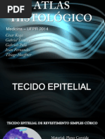Atlas Histologia 1º Período