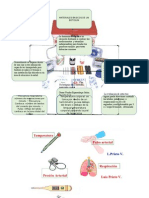 Mapas Terminados de Salud