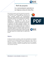 Perfil Del Proyecto PDF
