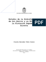 Estudio de La Hidrofobicidad de Oro Nativo y Su Efecto en La Flotacion Espumante Directa PDF