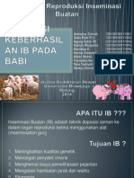 Evaluasi Keberhasilan IB Babi 