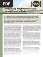 Download Genetically Engineered Food Human Health Risks 2015 edition by Food and Water Watch SN252164525 doc pdf