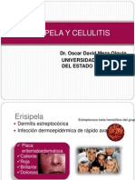 Erisipela y celulitis: diferencias clínicas y tratamiento