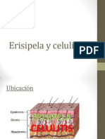 Erisipela y Celulitis