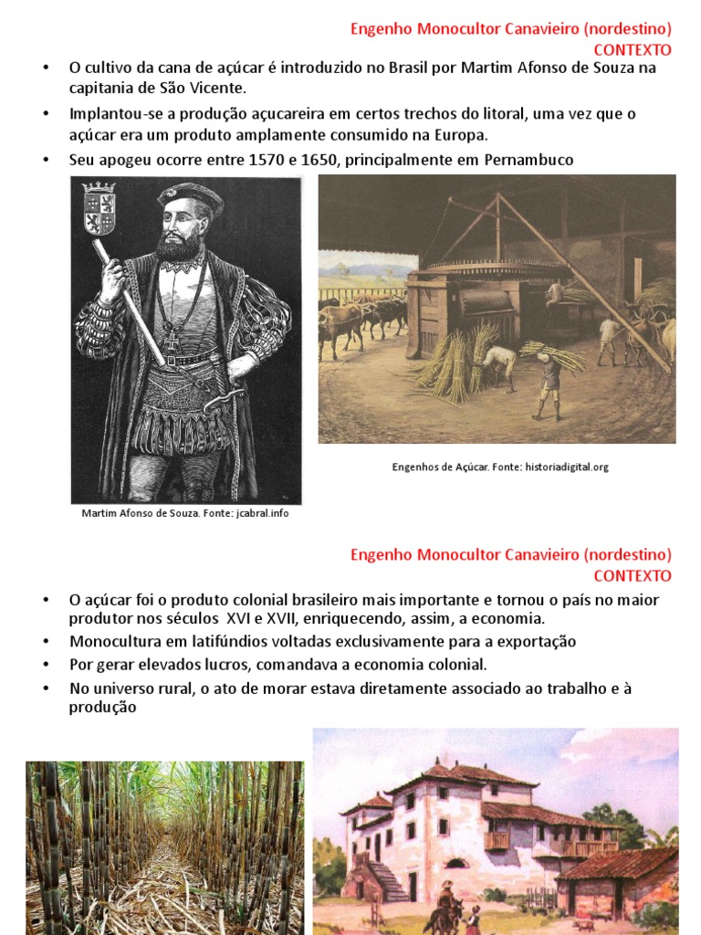 Estrutura e Função dos Engenhos de Açúcar | PDF | Cana de açúcar ...