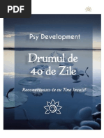 Download ebookpdf by Rodica Panainte SN252179803 doc pdf