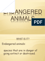 Animales en Peligro de Extinción