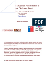 2012-11-9 PPT Estudio Paternidad Olmué