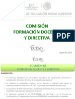 07 Comision Formacion Docente y Directiva