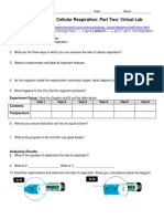 AP Investigation 6-Cellular Respiration Virtual Lab