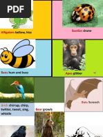 A to Z List of Animal Sounds | PDF