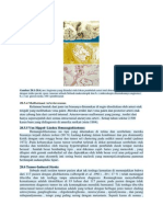 Forensic Neuropathology - Vascular Disease