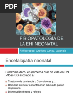 Fisiopatología de La EHI Neonatal