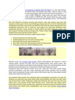 Tanda-Tanda Kutil Kelamin Condyloma Acuminata Pada Ibu Hamil