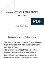 Ontogeny of Respiratory System: Abd. Razak Ratu