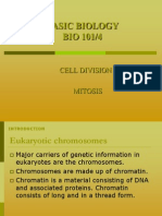 Cell Division - (Mitosis)