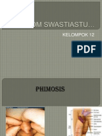 PP Phimosis 1