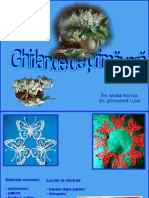 0_ghirlande_de_primavara.ppt