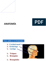 Anatomia Vía Aerea