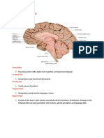 Iii Anatomy and Physiology: Frontal Lobe Occipital Lobe Parietal Lobe Temporal Lobe Hippocampus