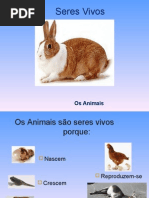 Seres Vivos- Animais