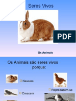 Seres Vivos - Animais