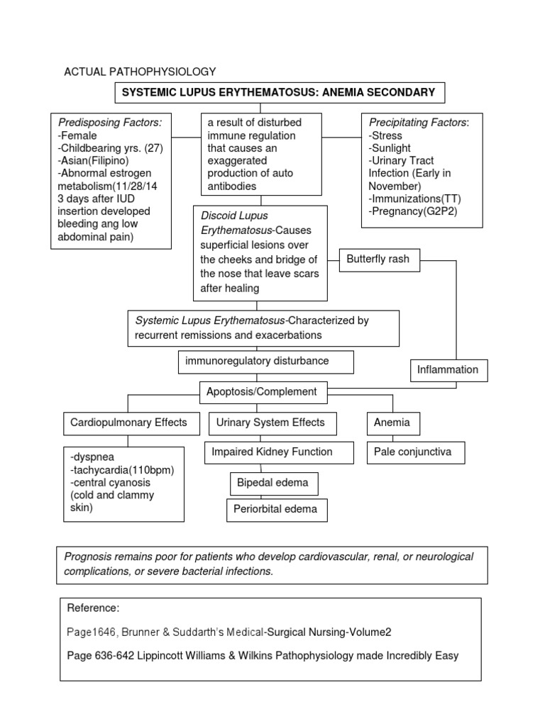 SLE Pathophysiology Overview | PDF | Medical Specialties | Clinical ...