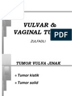 Vulvar and Vaginal Tumor