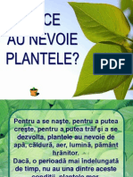 De Ce Au Nevoie Plantele