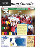 Download Platinum Gazette 15 January by Platinum Gazette SN25230243 doc pdf