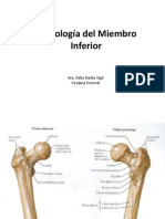 Osteologia Miembro Inferior