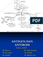 8. Antigen Antibodi