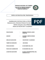 Perfil - Prácticas (Avanzado)