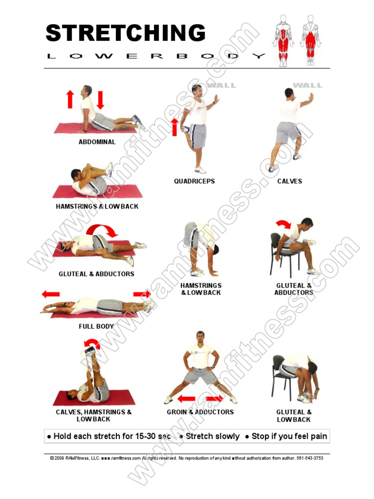 Effective Lower Body Stretching Guide | PDF | Cooking, Food & Wine ...